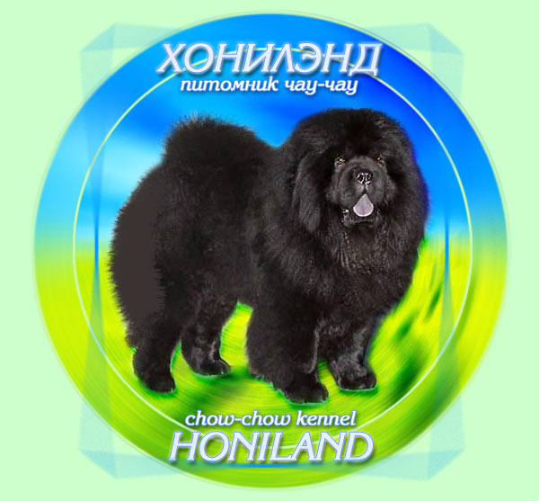 Chow-Chow Kennel Honiland